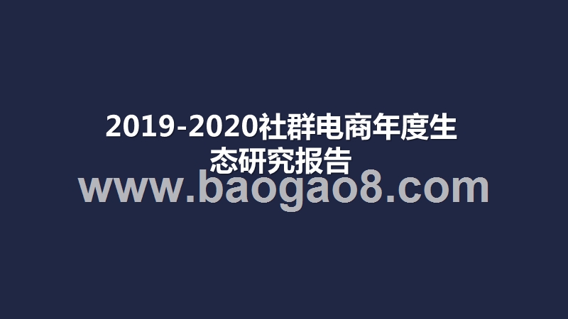 2019-2020社群电商年度生态研究报告.pptx_第1页