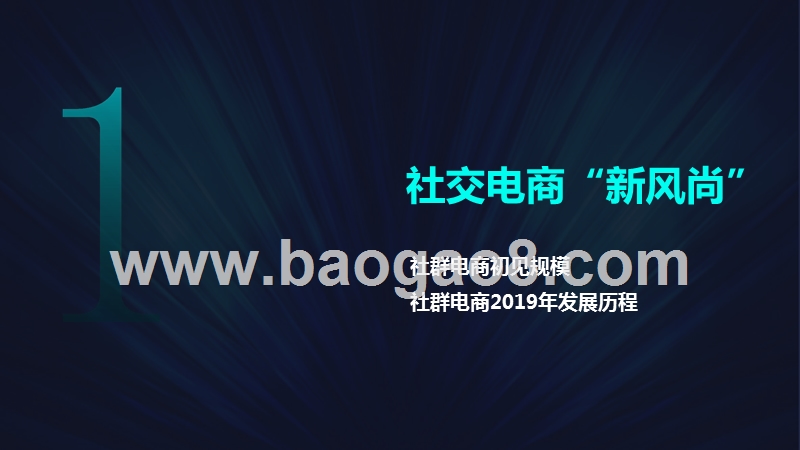 2019-2020社群电商年度生态研究报告.pptx_第3页