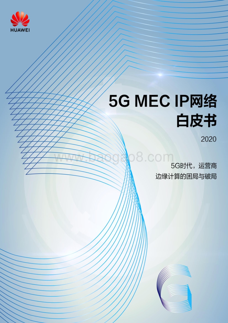 20205GMECIP网络白皮书.pdf_第1页