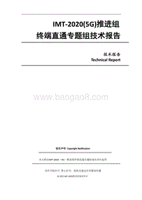 终端直通专题组技术报告.pdf