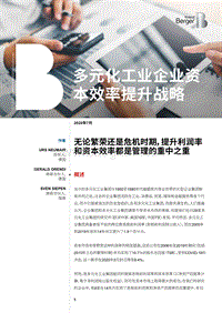 多元化工业企业资本效率提升战略.pdf