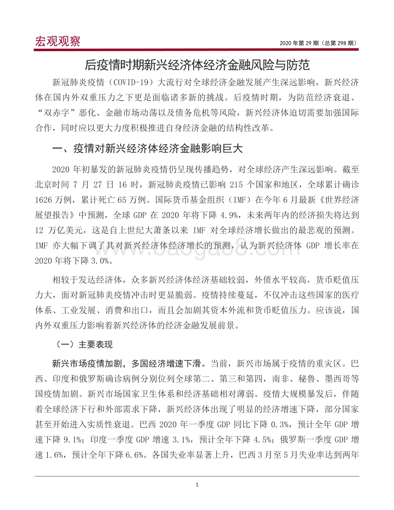 后疫情时期新兴经济体经济金融风险与防范.pdf_第2页