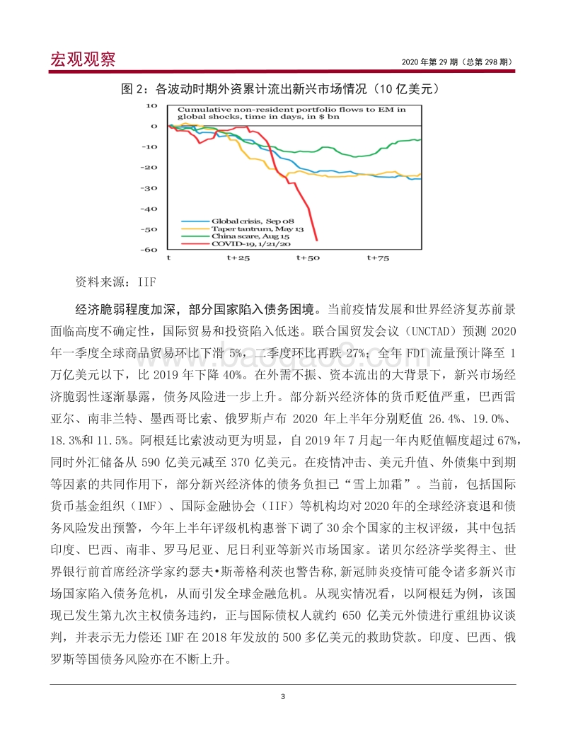 后疫情时期新兴经济体经济金融风险与防范.pdf_第4页