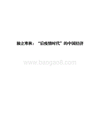 独立寒秋：“后疫情时代”的中国经济.pdf