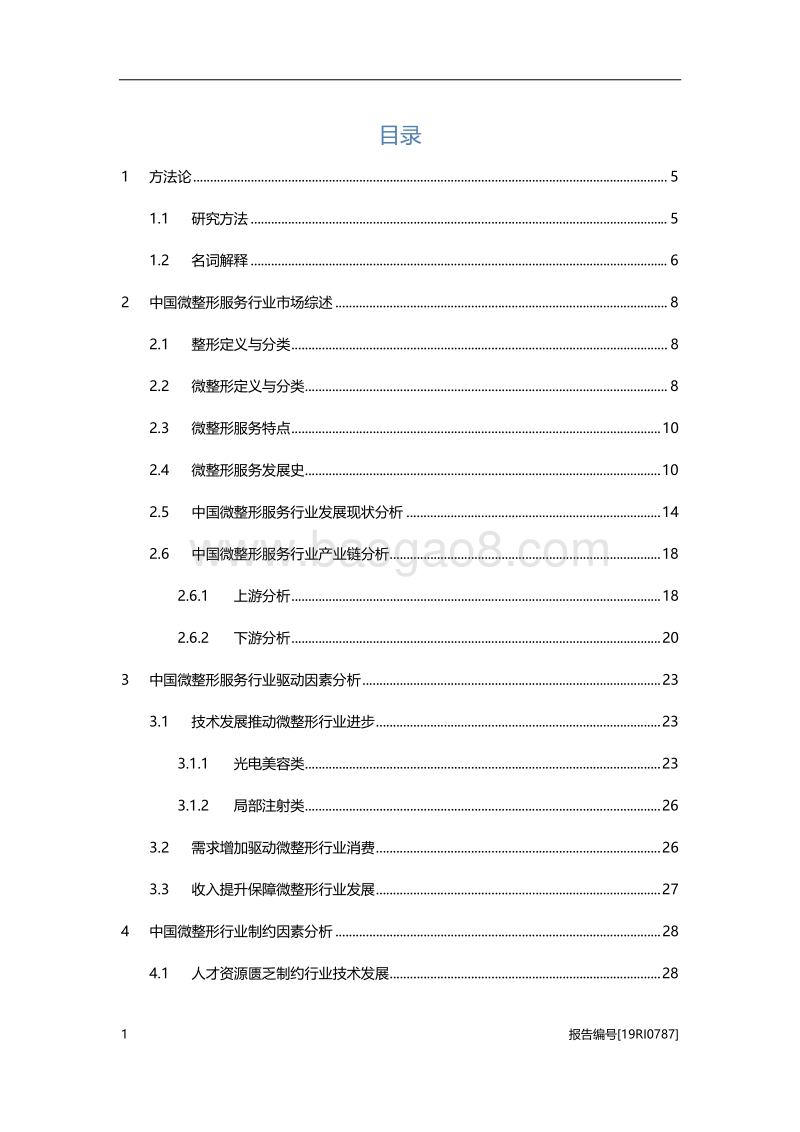 2019年中国微整形行业深度研究报告.pdf_第2页