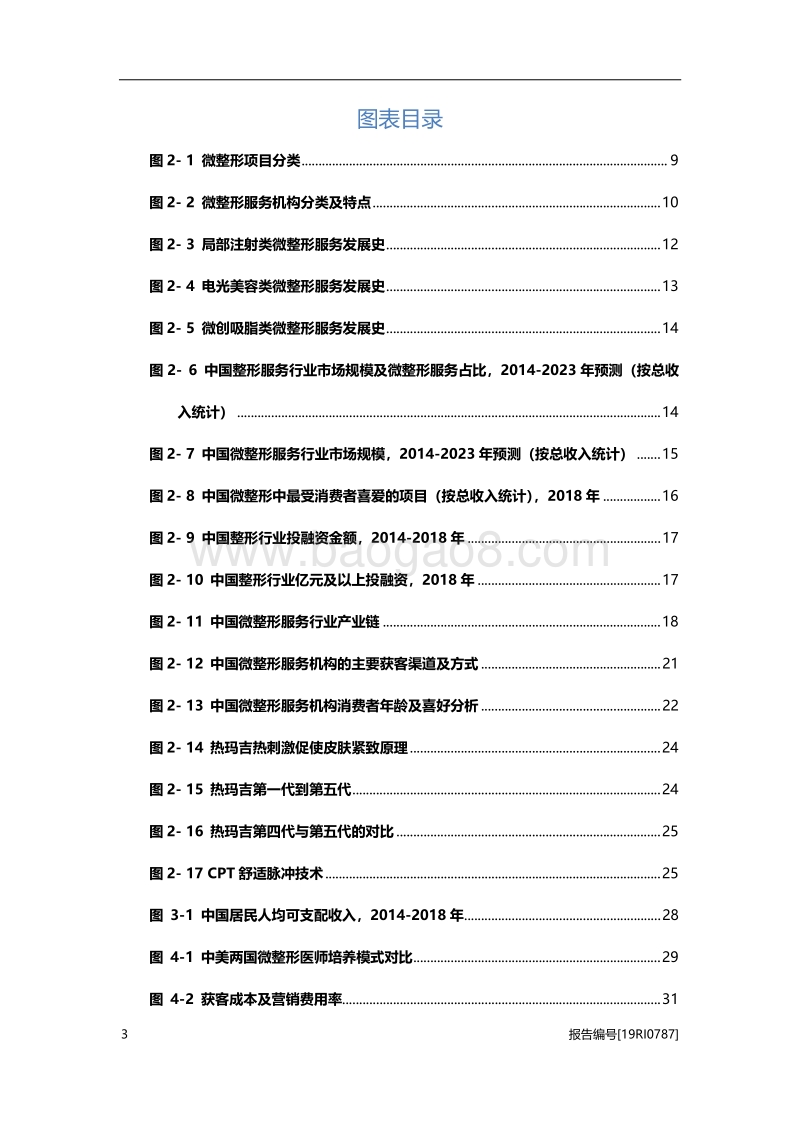 2019年中国微整形行业深度研究报告.pdf_第4页