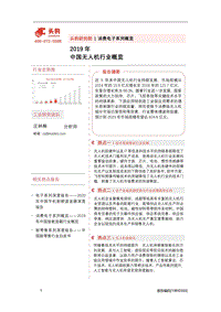2019年中国无人机行业概览.pdf