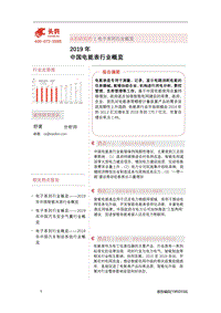 2019年中国电能表行业概览.pdf