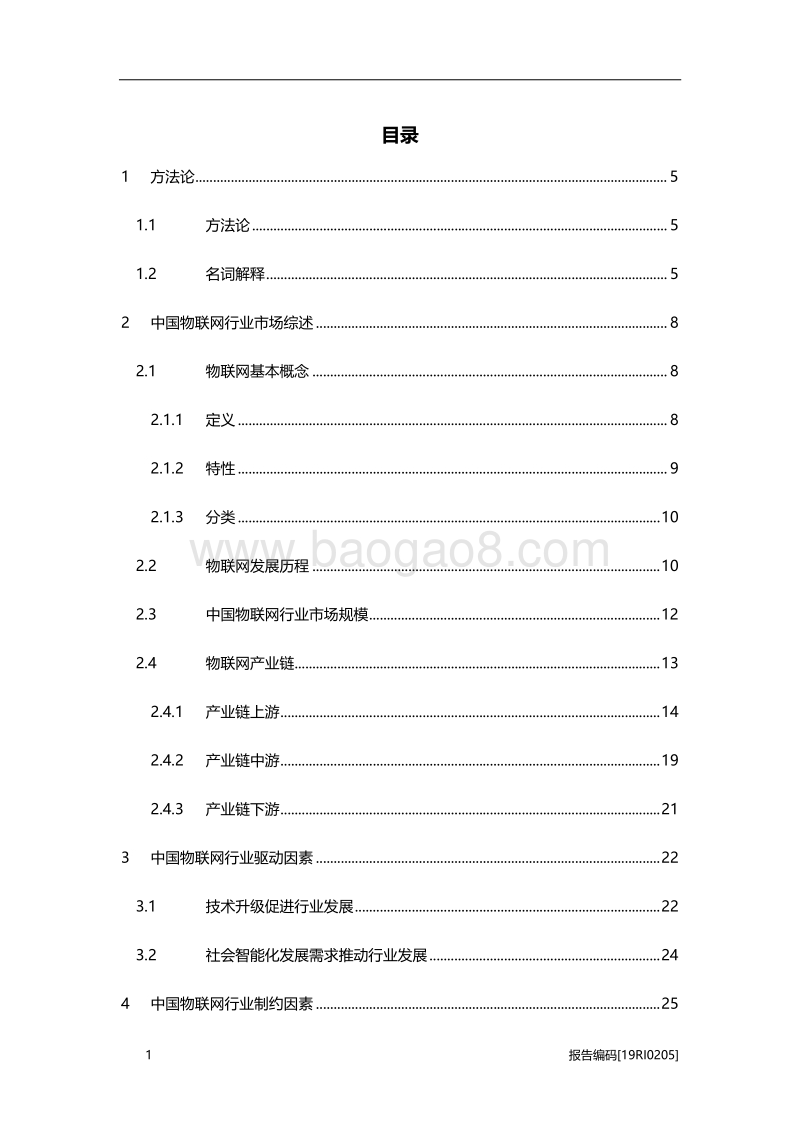 2019年中国物联网行业市场研究.pdf_第2页