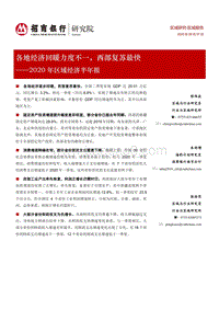 2020年区域经济半年报.pdf