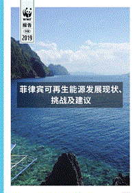 菲律宾可再生能源发展现状、挑战及建议.pdf