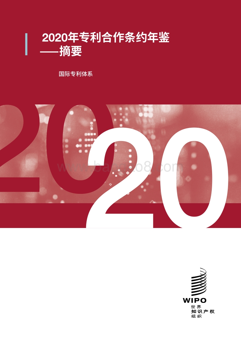 2020年专利合作条约年鉴摘要.pdf_第1页