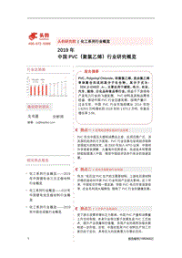 2019年中国PVC（聚氯乙烯）行业研究概览.pdf