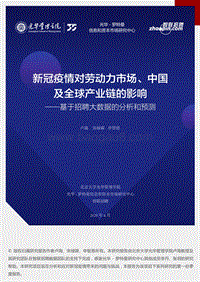 新冠疫情对劳动力市场、中国及全球产业链的影响：基于招聘大数据的分析和预测.pdf
