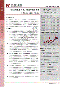 计算机行业2020半年报综述.pdf