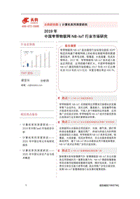 2019年中国窄带物联网NB-loT行业市场研究.pdf
