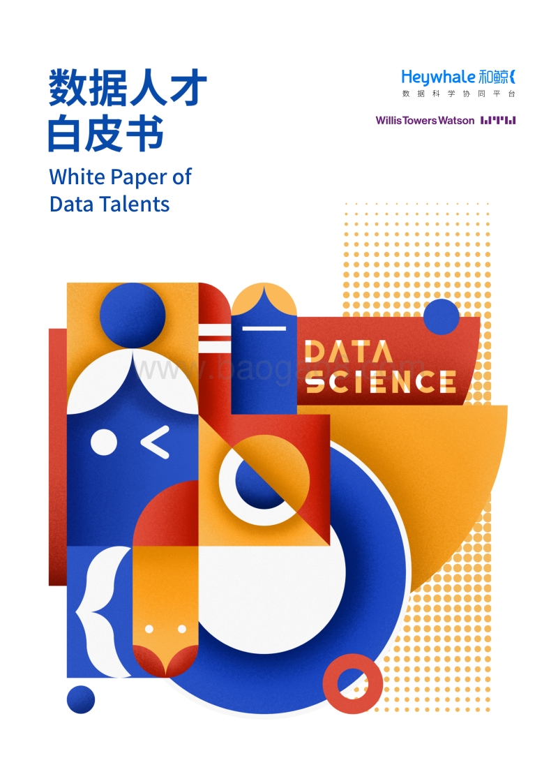 数据人才白皮书.pdf_第1页