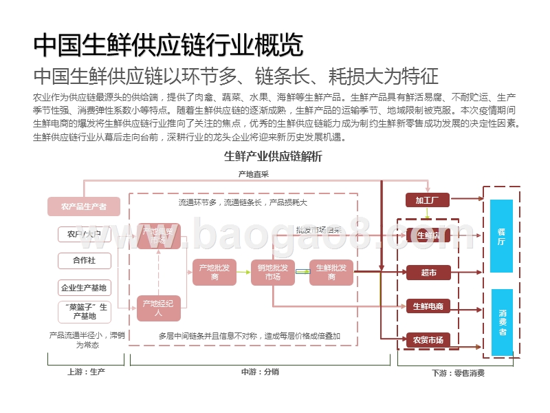 2020-2021中国生鲜供应链市场研究报告.pptx_第3页