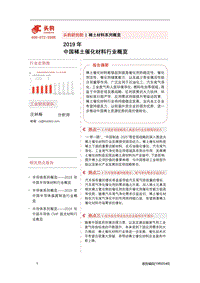 2019年中国稀土催化材料行业概览.pdf