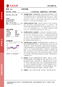 白银专题：工业需求改善，金融属性驱动，中期价格看涨.pdf