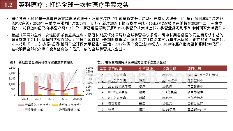 2020-2021医药行业投资前景研究报告.pptx_第5页