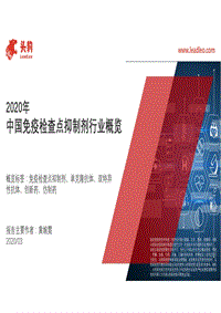 2020年中国免疫检查点抑制剂行业概览.pdf
