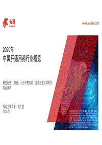 2020年中国肝癌用药行业概览.pdf