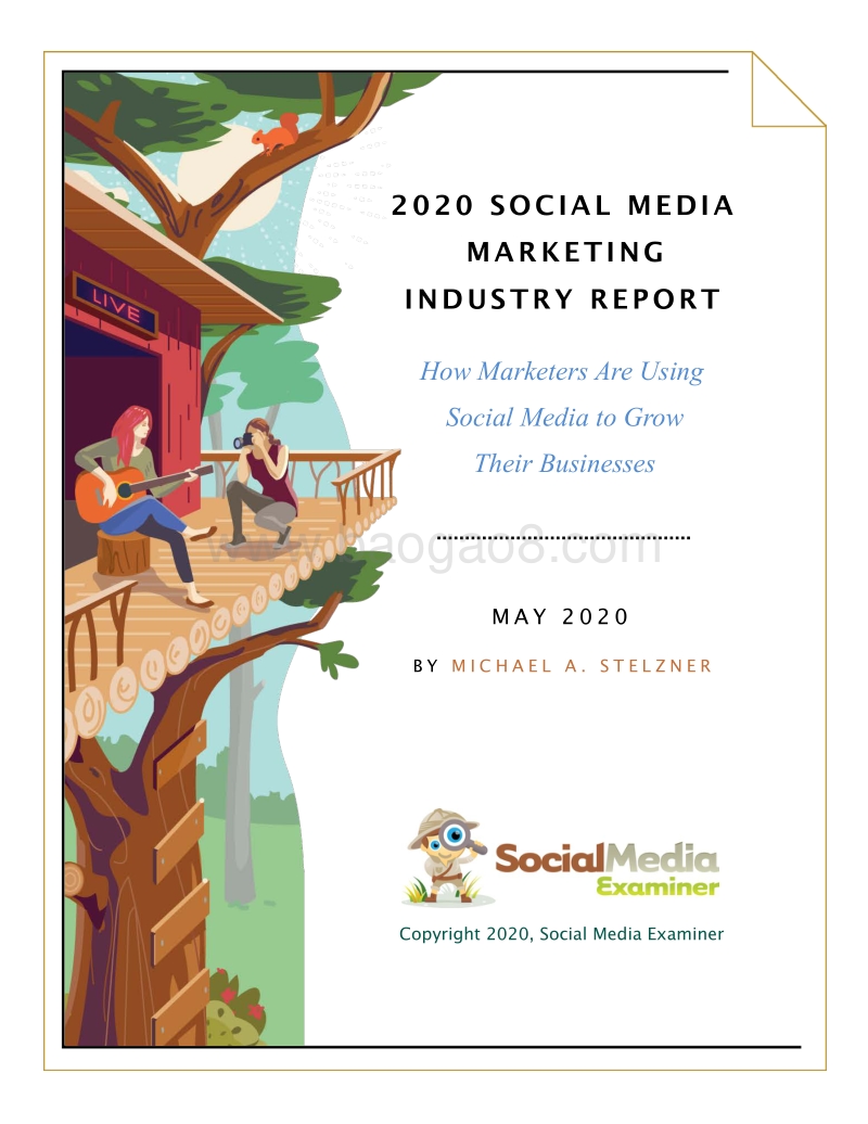 2020年社交媒体营销行业报告（英文版）.pdf_第1页