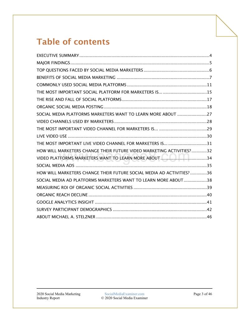 2020年社交媒体营销行业报告（英文版）.pdf_第3页