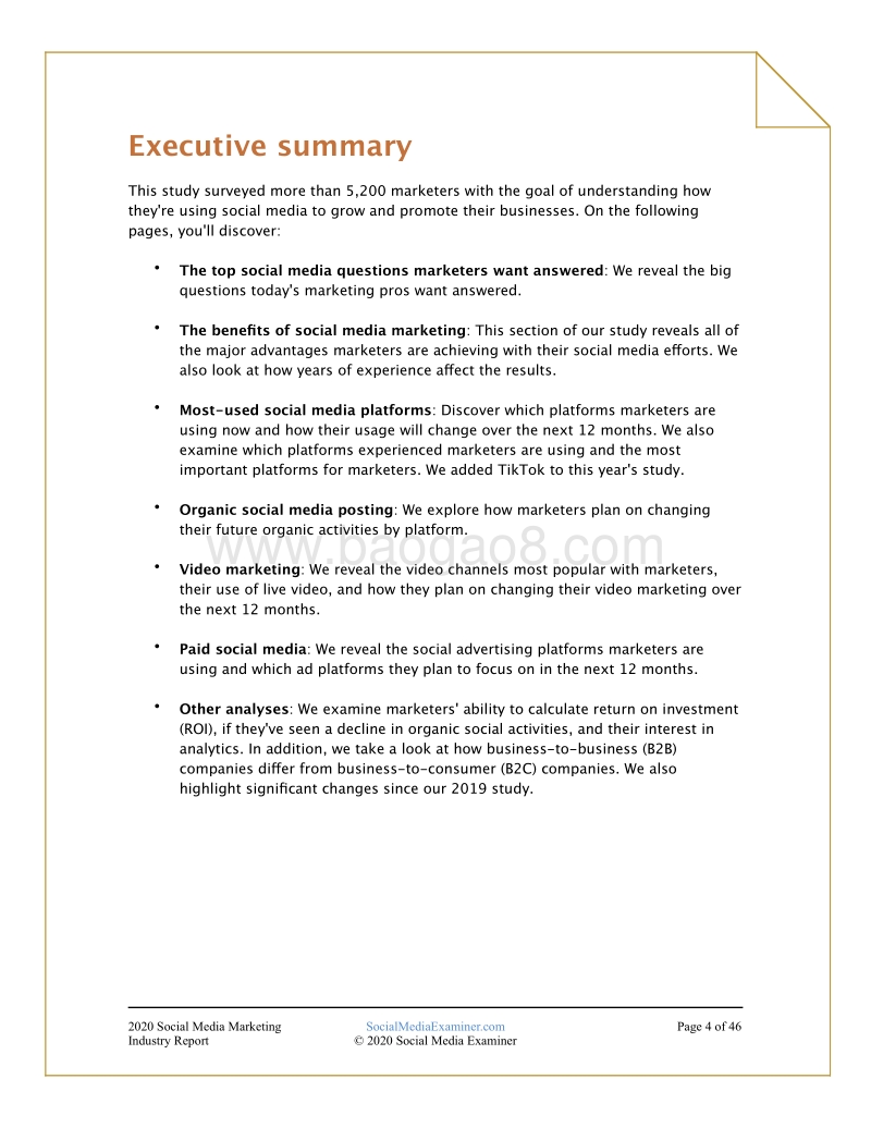2020年社交媒体营销行业报告（英文版）.pdf_第4页