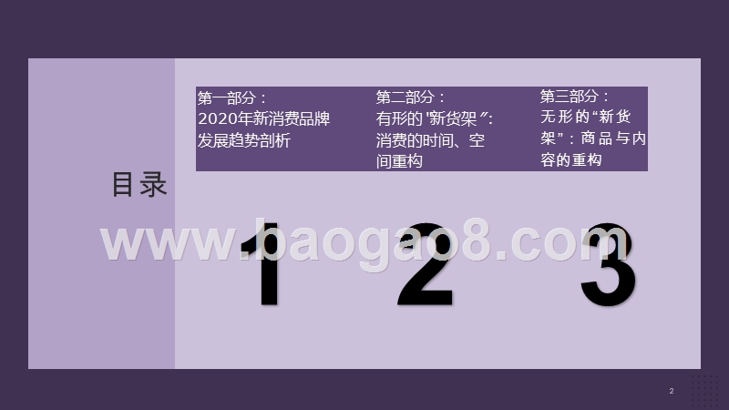 2020-2021“新货架”研究报告.pptx_第2页