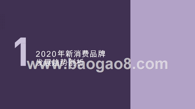 2020-2021“新货架”研究报告.pptx_第3页