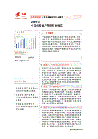 2019中国保险资产管理行业概览.pdf