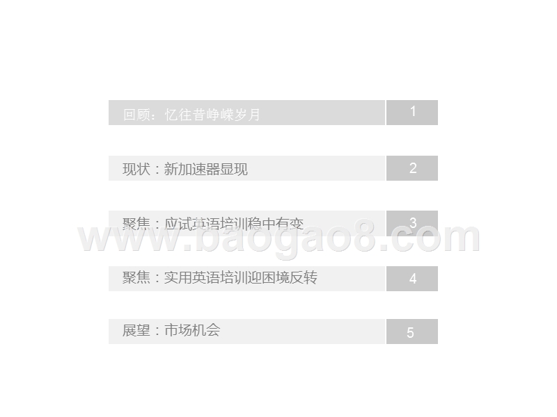 2020-2021中国成人英语市场研究报告.pptx_第2页