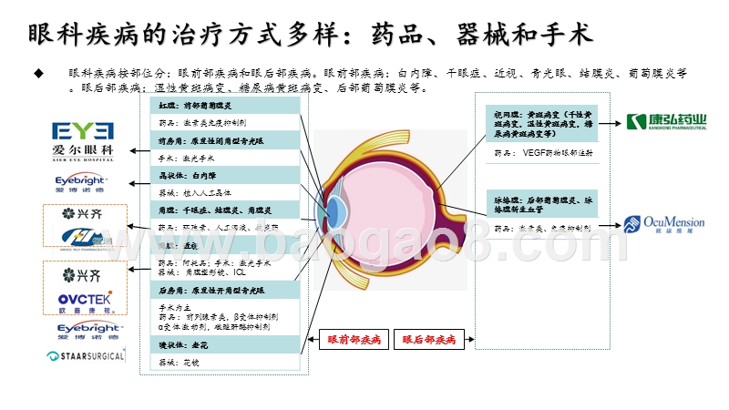 2020-2021眼科行业发展前景研究报告.pptx_第4页