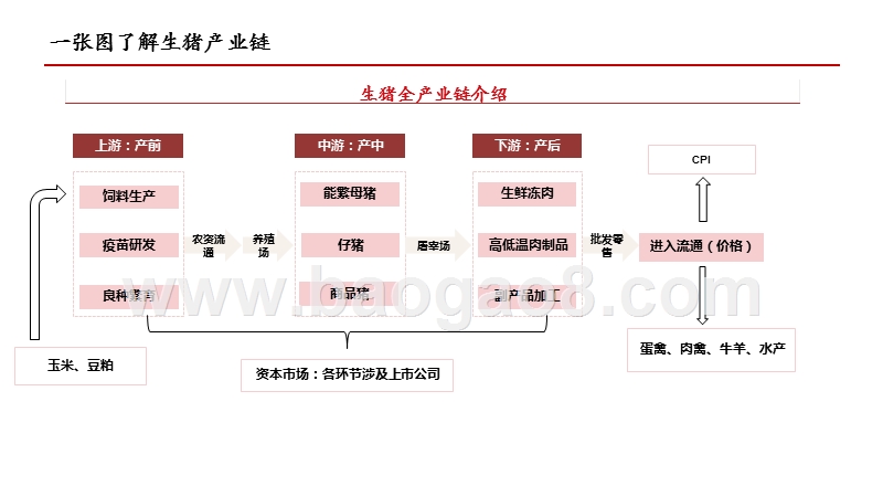 2020-2021生猪行业供需现状分析报告.pptx_第3页