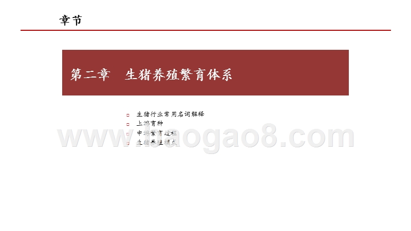 2020-2021生猪行业供需现状分析报告.pptx_第4页