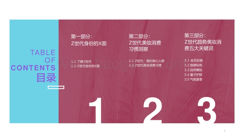 Z世代趋势美妆消费洞察报告.pdf_第2页