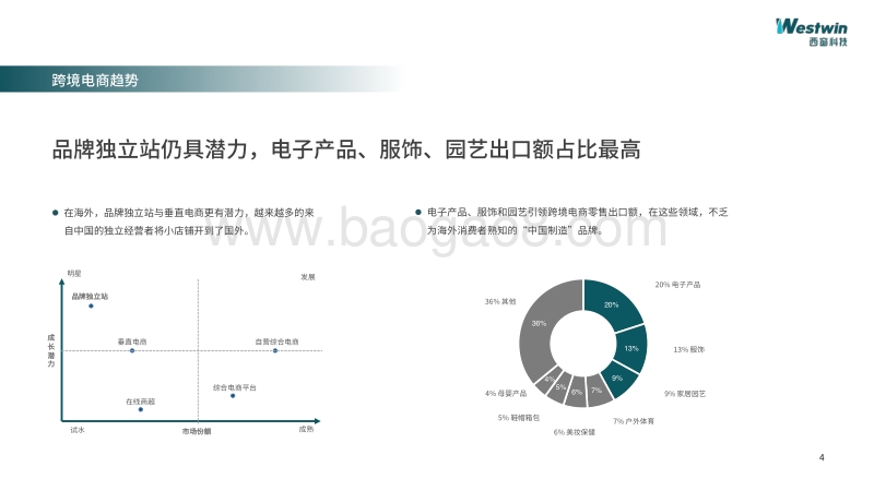 2020年出海爆款单品预测.pdf_第4页
