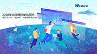 2020年出海爆款单品预测.pdf