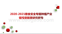 2020-2021粮食安全专题种植产业链投资前景研究报告.pptx