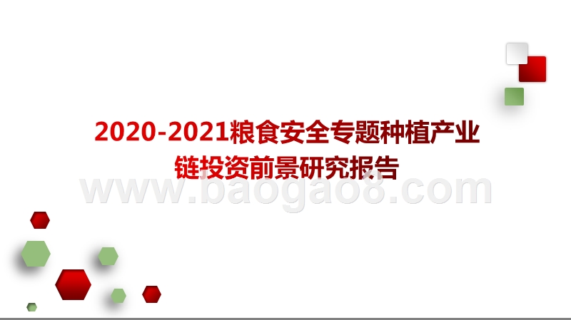 2020-2021粮食安全专题种植产业链投资前景研究报告.pptx_第1页