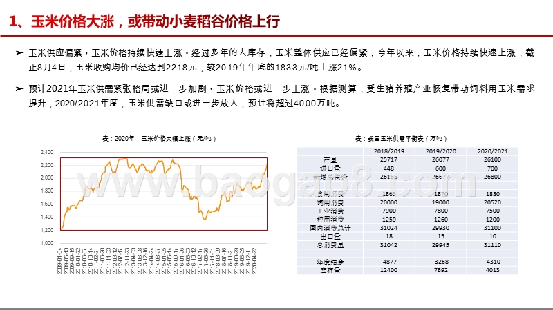 2020-2021粮食安全专题种植产业链投资前景研究报告.pptx_第3页