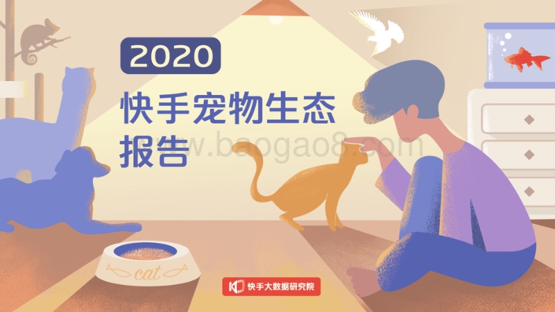 2020快手宠物生态报告.pdf_第1页