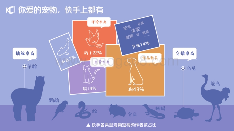 2020快手宠物生态报告.pdf_第5页