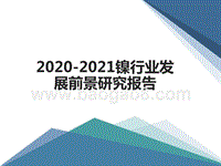 2020-2021镍行业发展前景研究报告.pptx