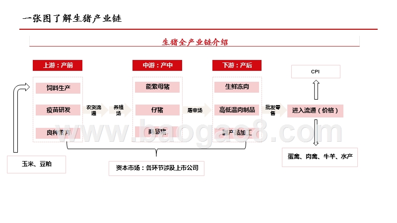2020-2021生猪行业发展研究报告.pptx_第3页