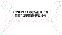 2020-2021化妆品行业“玻尿酸”发展前景研究报告.pptx