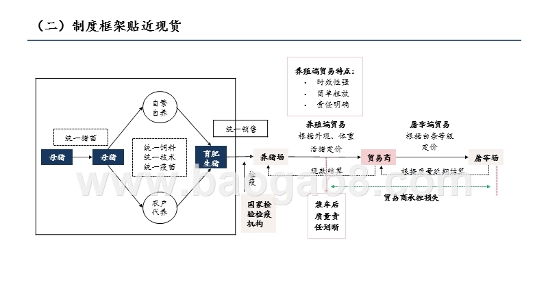 2020-2021生猪期货合约及规则设计分析报告.pptx_第5页