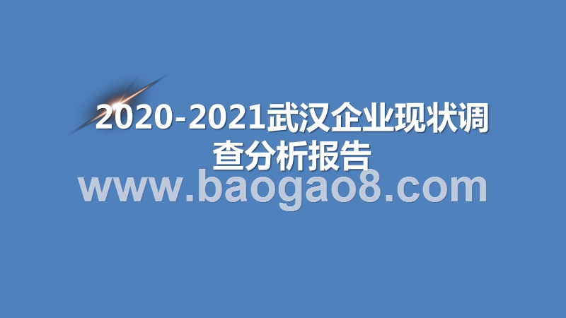 2020-2021武汉企业现状调查分析报告.pptx_第1页